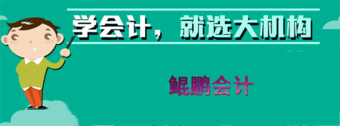 鲲鹏会计