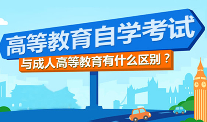 鲁班教育
