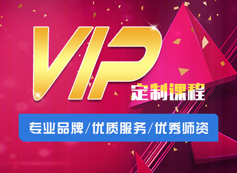 VIP定制培训班