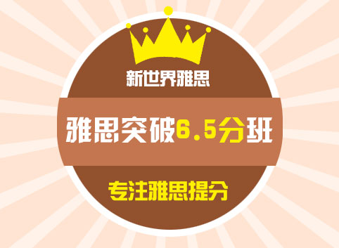 雅思标准6.5分