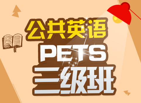 公共英语(PETS)3级课程