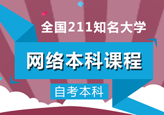 全国211名牌大学《网络》本科