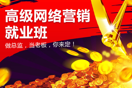 高级网络营销培训班
