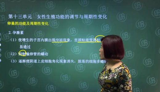金英杰远程授课1
