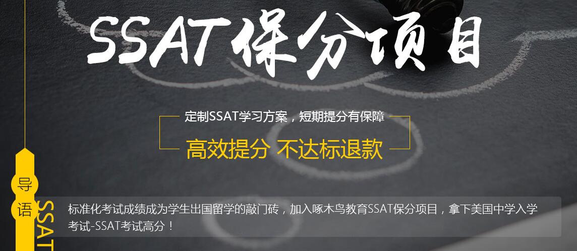 啄木鸟