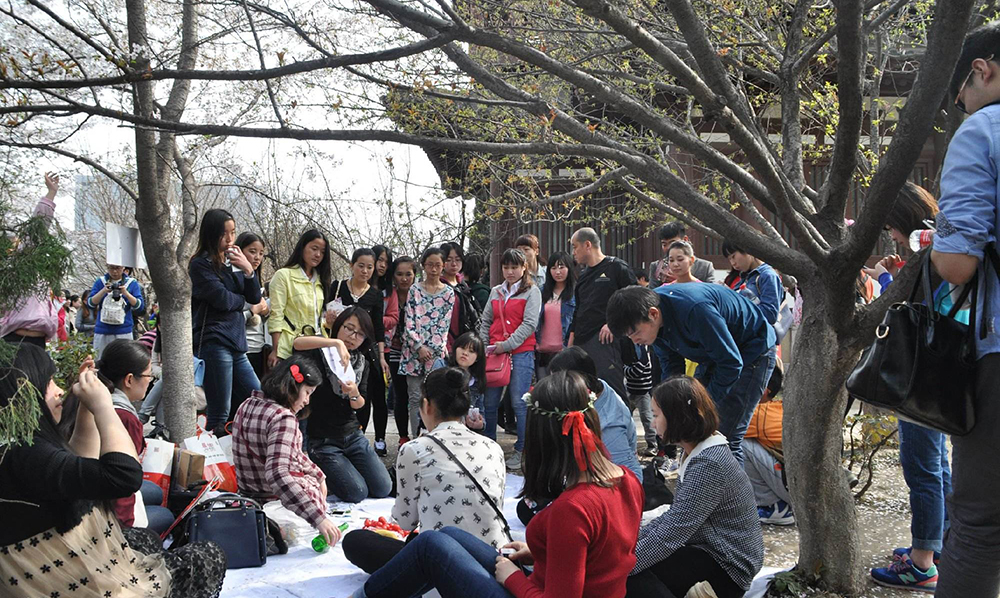 佛山樱花日语培训学校