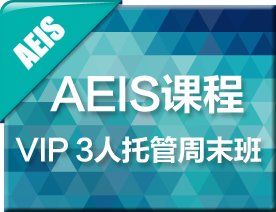 AEIS-VIP3人托管周末培训班