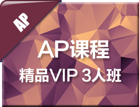 AP精品VIP3人培训班