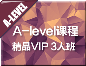 A-LEVEL精品VIP3人培训班