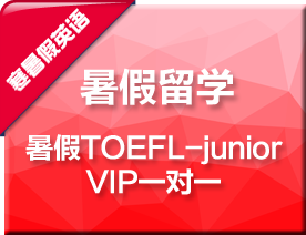寒假TOEFL-JuniorVIP一对一培训班