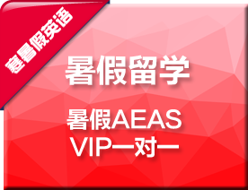 暑假AEAS-VIP一对一培训班