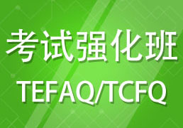 TEFAQ/TCFQ考试强化班