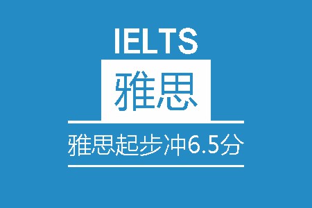 雅思起步冲6.5分8人培训班