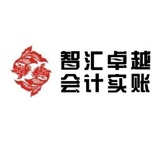 成都智汇卓越会计-陈老师