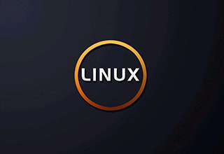 嵌入式Linux驱动实训课