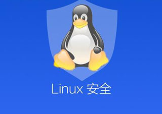 Linux网络安全精品课程