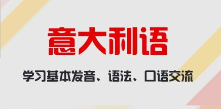 实用意大利语高级