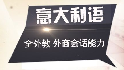 实用意大利语中级