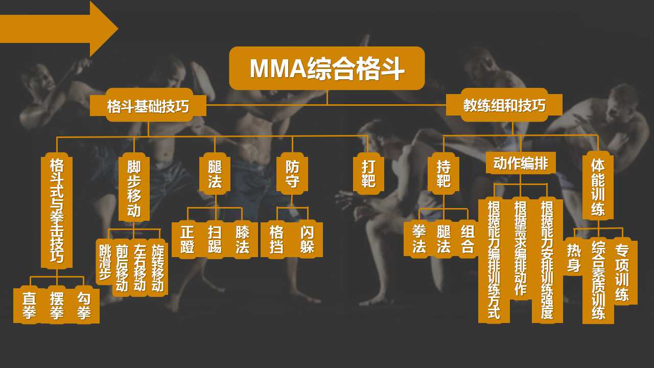 mma综合格斗-郑州菲诺特健身学院最新课程