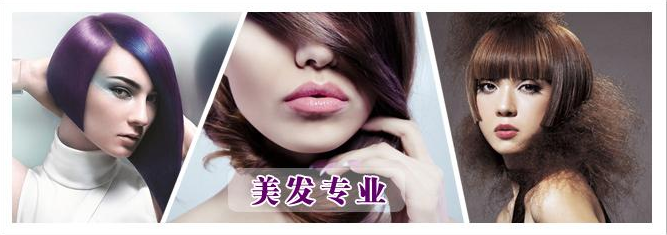 美发沙龙专业设计经典课程