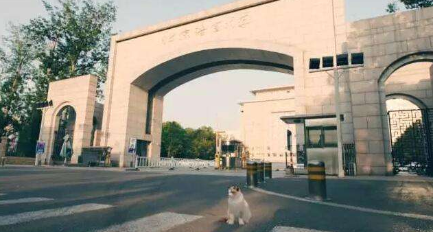 北京语言大学