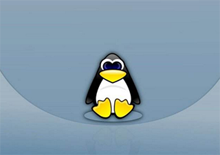 嵌入式linux应用开发基础
