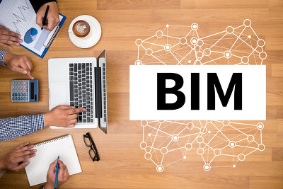 BIM