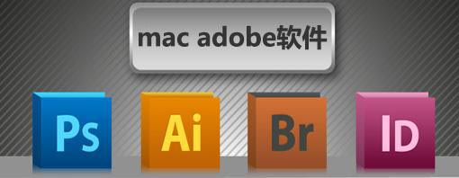 Adobe软件课程