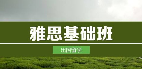 雅思基础培训班