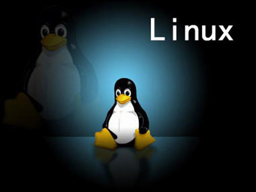 linux软件测试培训