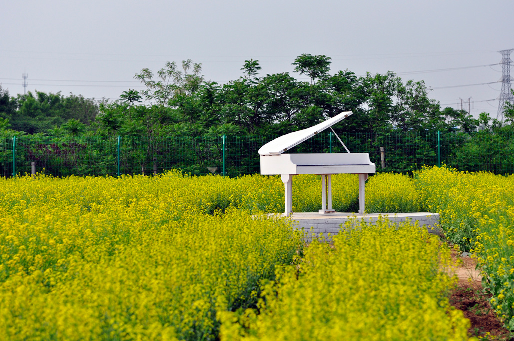 基地实景