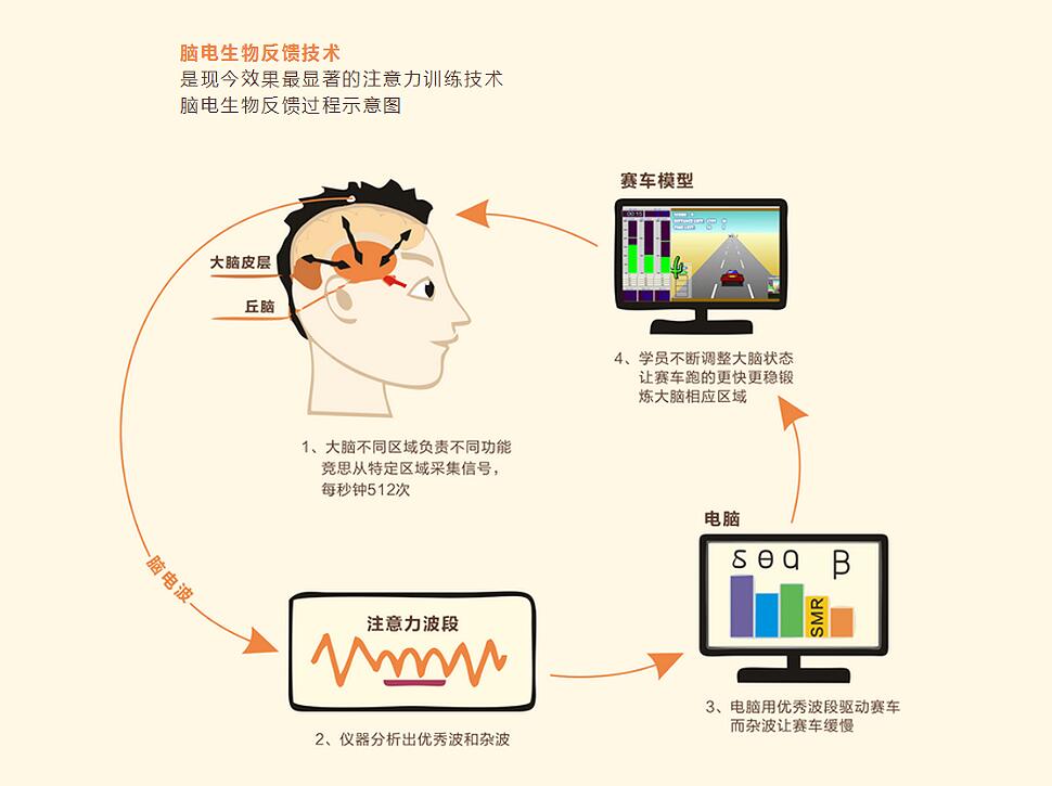 脑电生物反馈