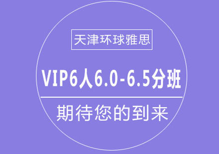 天津环球雅思VIP6人6.0-6.5分班