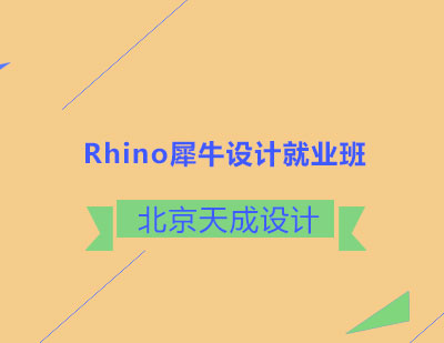 Rhino犀牛设计就业班