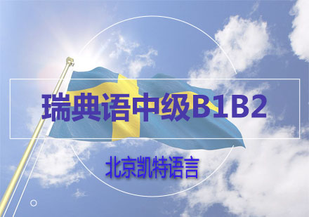 瑞典语中级B1B2