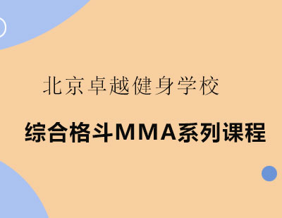 综合格斗MMA系列课程