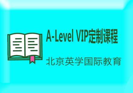 A-LevelVIP定制课程