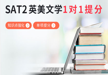 SAT2英美文学1对1单项提分班