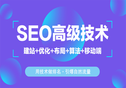 SEO高级技术在线系统实战课