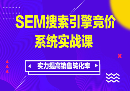 SEM搜索引擎竞价全方位系统网课