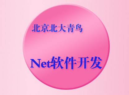 net软件开发课程