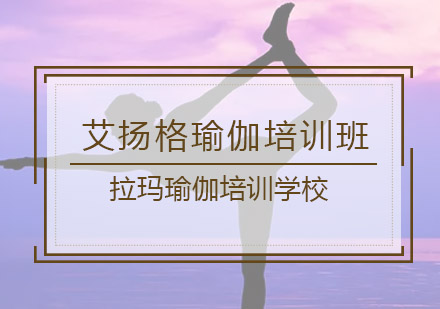 艾扬格瑜伽培训班