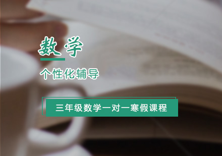 小学三年级数学一对一寒假辅导课程