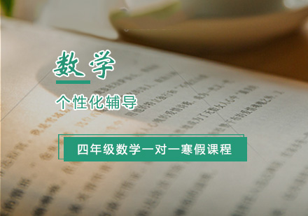 小学四年级数学一对一寒假辅导课程