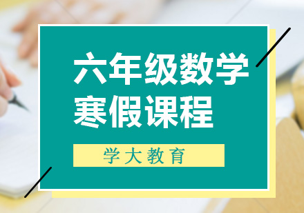 小学六年级数学一对一寒假辅导课程