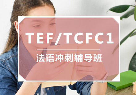 TEF/TCFC1法语冲刺辅导班