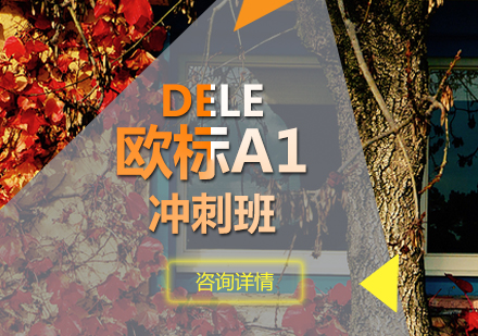 DELE欧标A1冲刺班