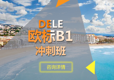 DELE欧标B1冲刺班