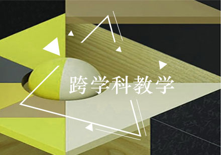 跨学科教学