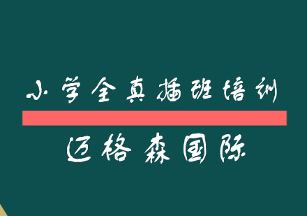 小学全真插班培训班